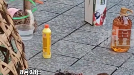 九游会官网 -摩纳哥训练开放日，今晚造点机会引欢呼，亚冠在即，临场指挥获称赞(2024摩纳哥解说词)