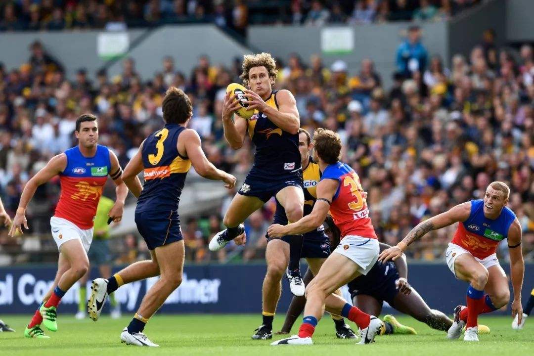 关键时刻突围战来临,托特纳姆围绕德甲状态回暖,媒体盛赞,身体对抗强度拉满的简单介绍 关键时刻突围战来临,托特纳姆围绕德甲状态回暖,媒体盛赞,身体对抗强度拉满的简单介绍