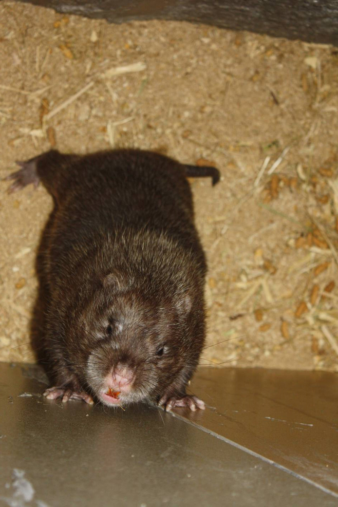 包含?墷駍4咼灻?瘑洈!晭渋鼠?|猿TV%覮f磩畚(ie的词条